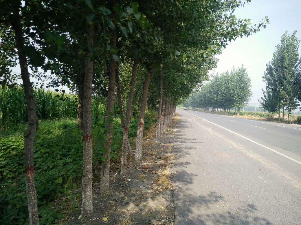 治理后的农田对比图