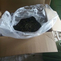 普洱茶三级