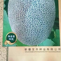 西州蜜瓜3斤以上椭圆形