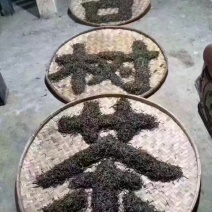 普洱茶特级