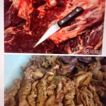 驴肉鲜货