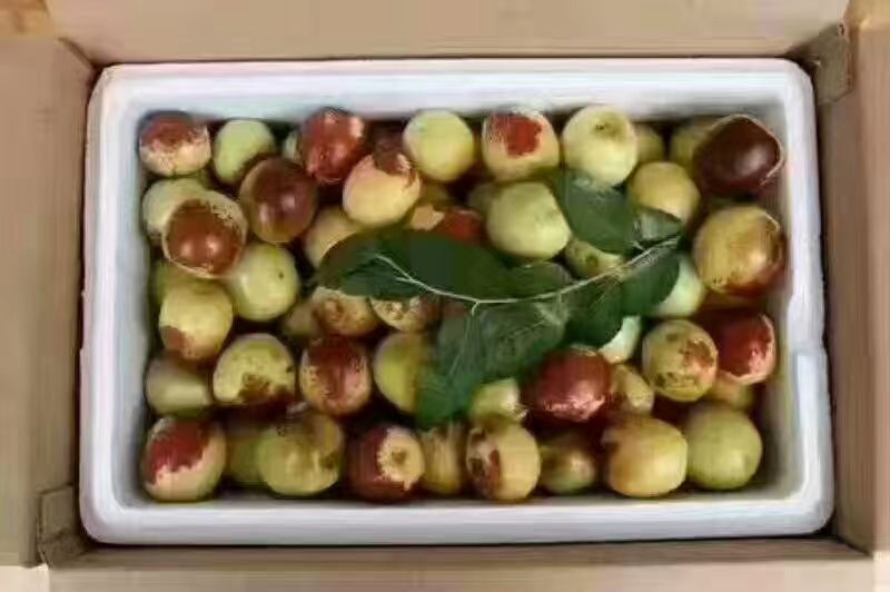 红枣核桃成品礼盒,背景为节日氛围,展示其作为健康礼品的市场定位 红枣核桃成品图