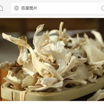 栗树蘑