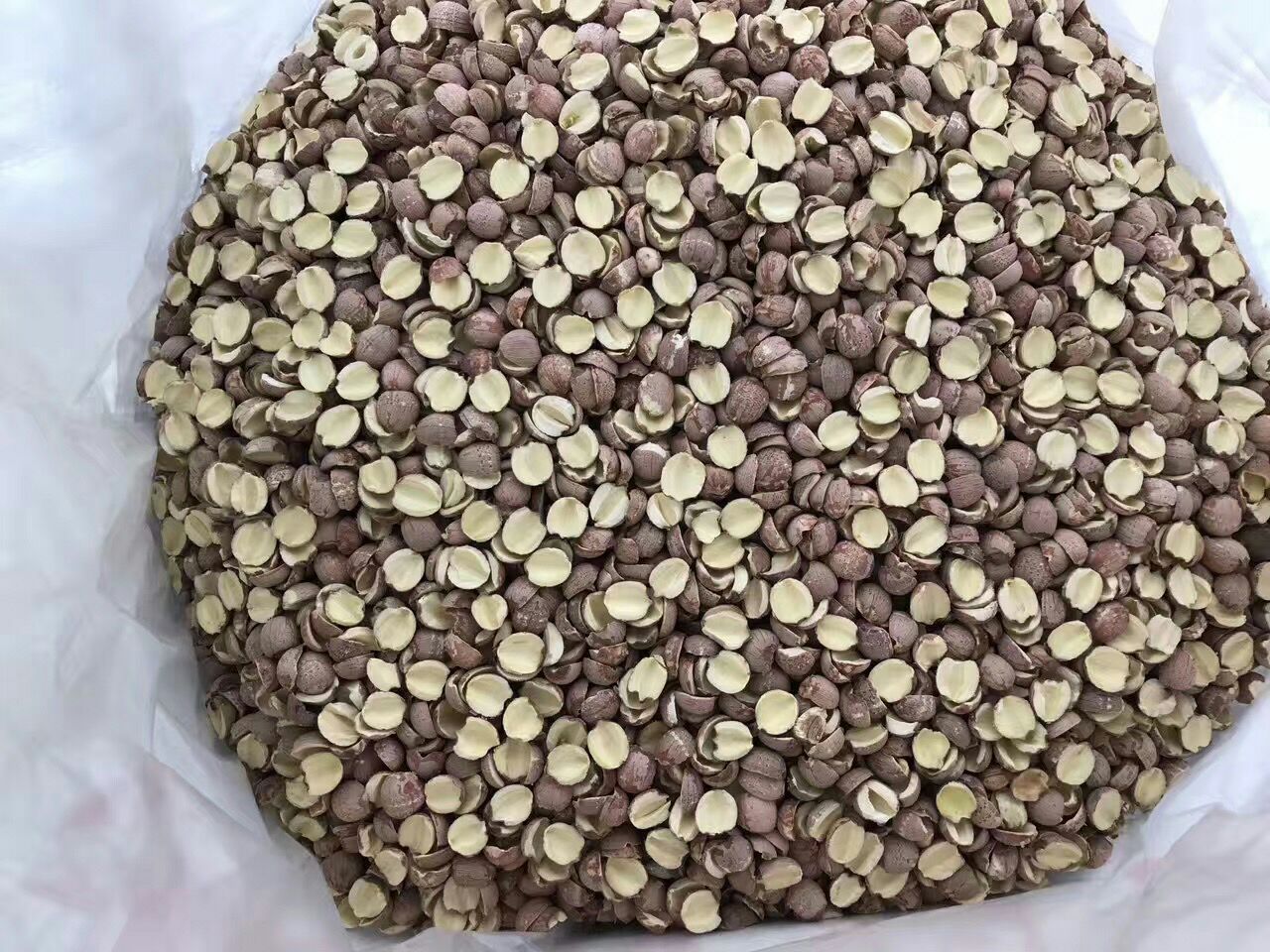 信息图表:对比展示整粒湘莲干品(左)与莲子粉(右)的活性成分保留率;左图含清晰检测数据标签,右图用红色禁止符号强调高温加工导致Nelumboside降解、RS4结构坍塌;中央绿色对勾指向‘整粒湘莲+冷水浸泡2h+文火炖40min’标准做法 湘莲科学食用对比图:左侧为传统整粒湘莲干品(标注‘RS4抗性淀粉 18.6%’‘Nelumboside 12.7mg/100g’),右侧为市售莲子粉样品(红色叉号标注‘高温灭活 有效成分损失≥63%’),中间用箭头指向‘推荐:整粒慢炖’