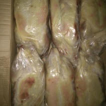 白条鸭