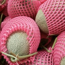 西州蜜瓜