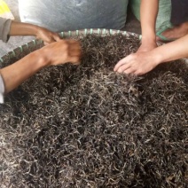 普洱茶特级