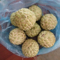释迦一级150~200g