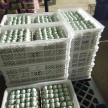 咸鸭蛋散装60~65g
