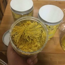 野菊花统货