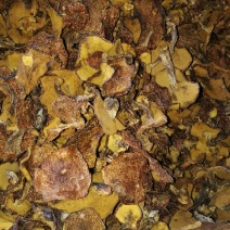 松蘑特级