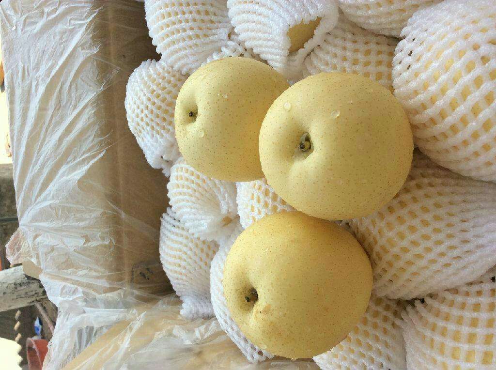 黄金梨与其他水果对比图