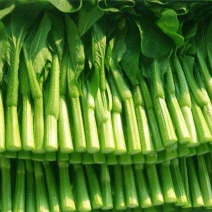 迟菜心10~15厘米
