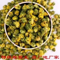 杭白菊袋装