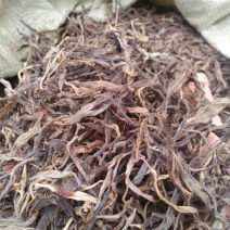 普洱茶一级
