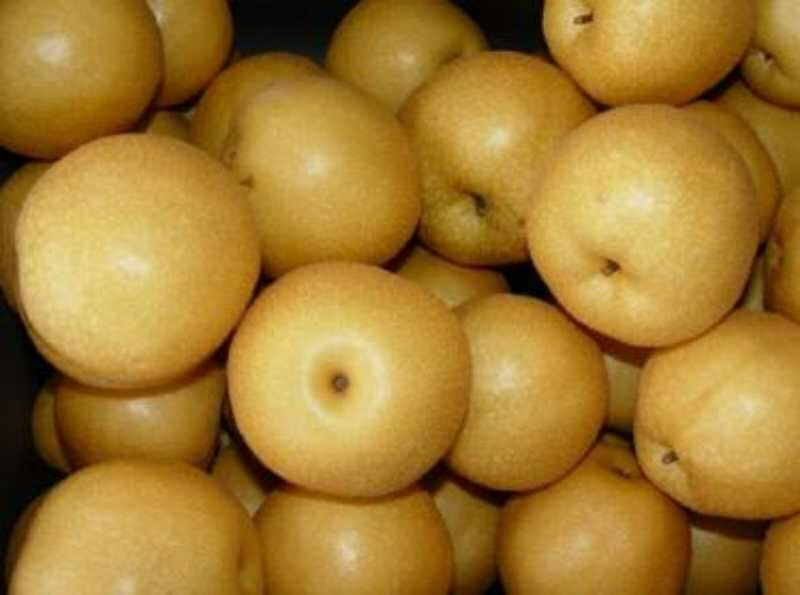 一张清晰的黄金梨特写图片,展示其金黄色的果皮和饱满的果实 黄金梨特写