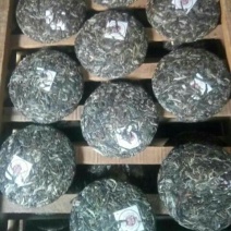 古树普洱茶一级
