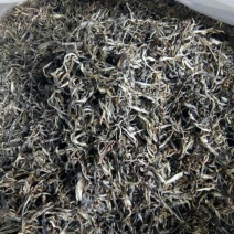 古树茶三级