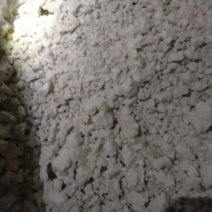 马铃薯淀粉散装