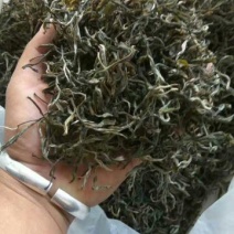 普洱茶特级