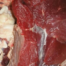 驴肉冻货