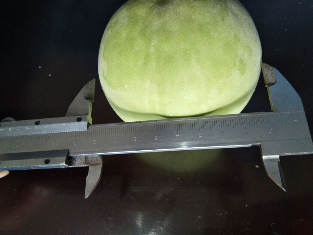 寿桃模具定型过程