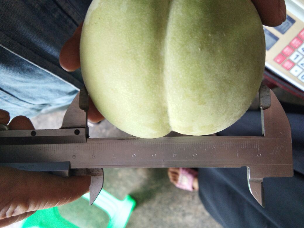 寿桃手工塑形过程图