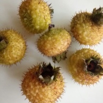 刺梨鲜