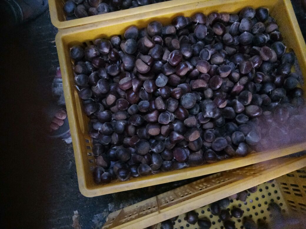 超市货架上摆放着不同包装形式的栗子产品，包括真空袋装鲜栗、罐头糖水栗仁、冷冻栗仁包，标签清晰