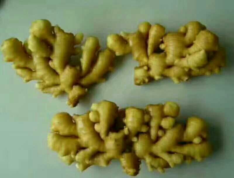 面姜处理过程特写