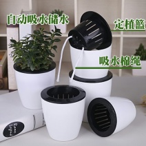花盆树脂自动吸水花盆