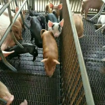 铁丝网