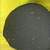 油菜籽1级