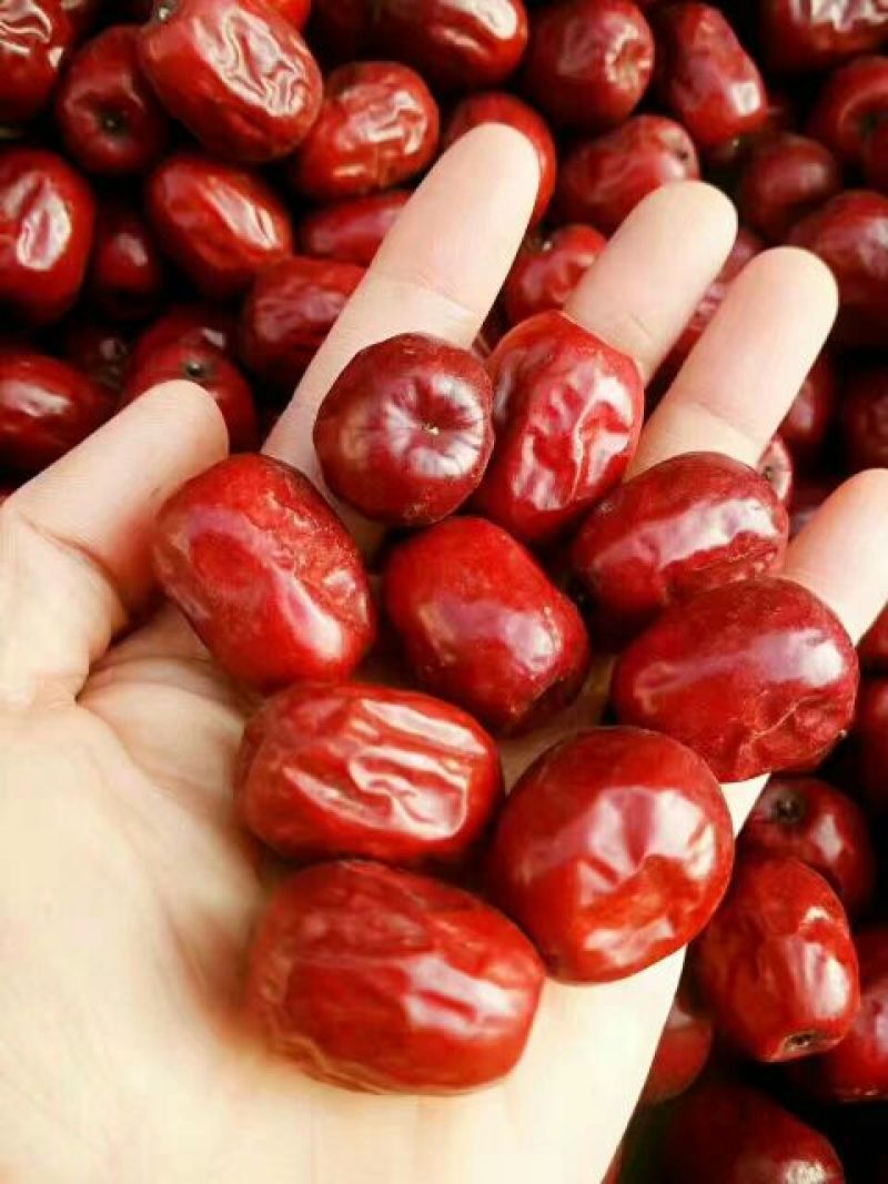 50元/斤 - 一亩田