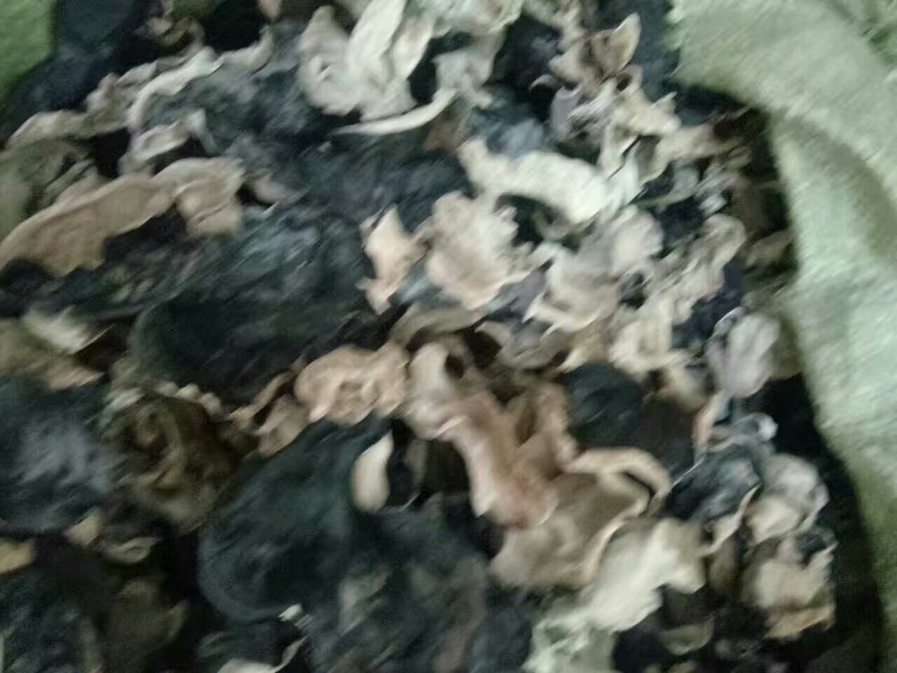 毛木耳与黄瓜的食材对比图