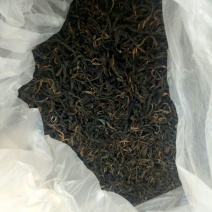 古树茶一级