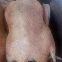 卤鸭