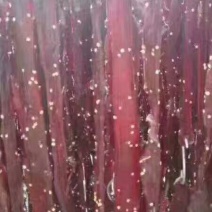 牛肉干牦牛肉鲜肉
