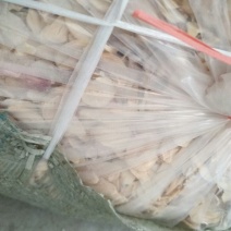 脱水蒜片
