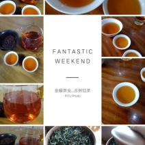 普洱茶二级