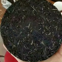 普洱茶一级