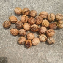 薄皮核桃去皮干