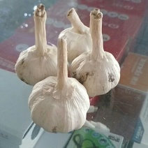 脱水蒜片