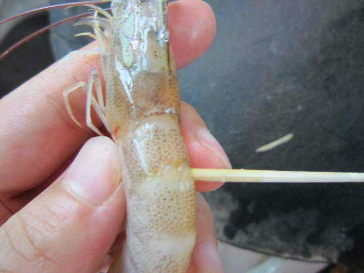 对虾肠道健康对比图