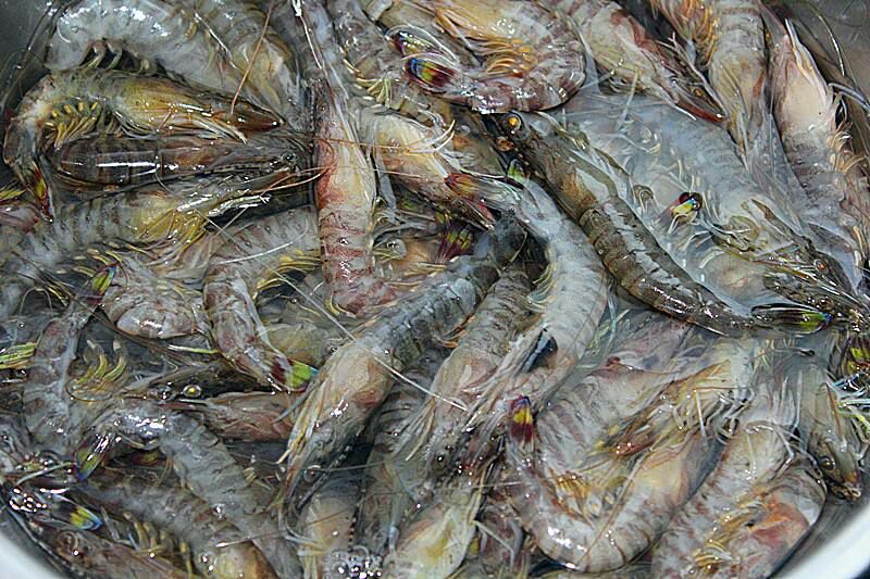 香芹虾丸煮制过程