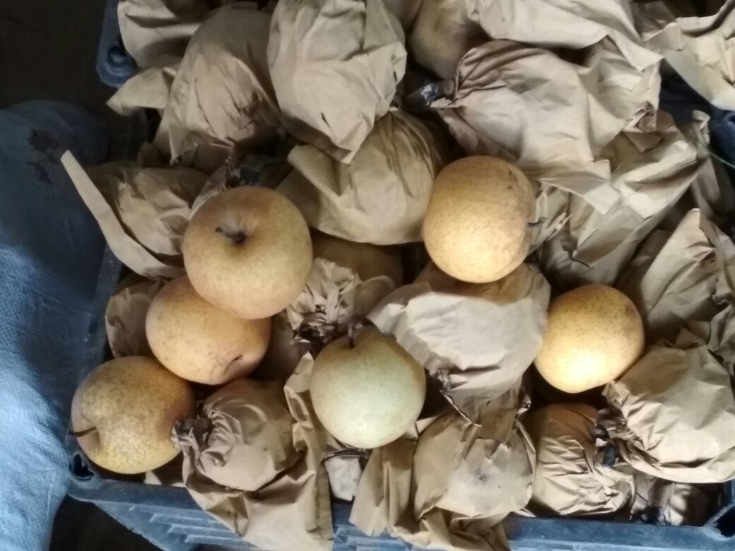 黄金梨与丰水梨市场销售场景图