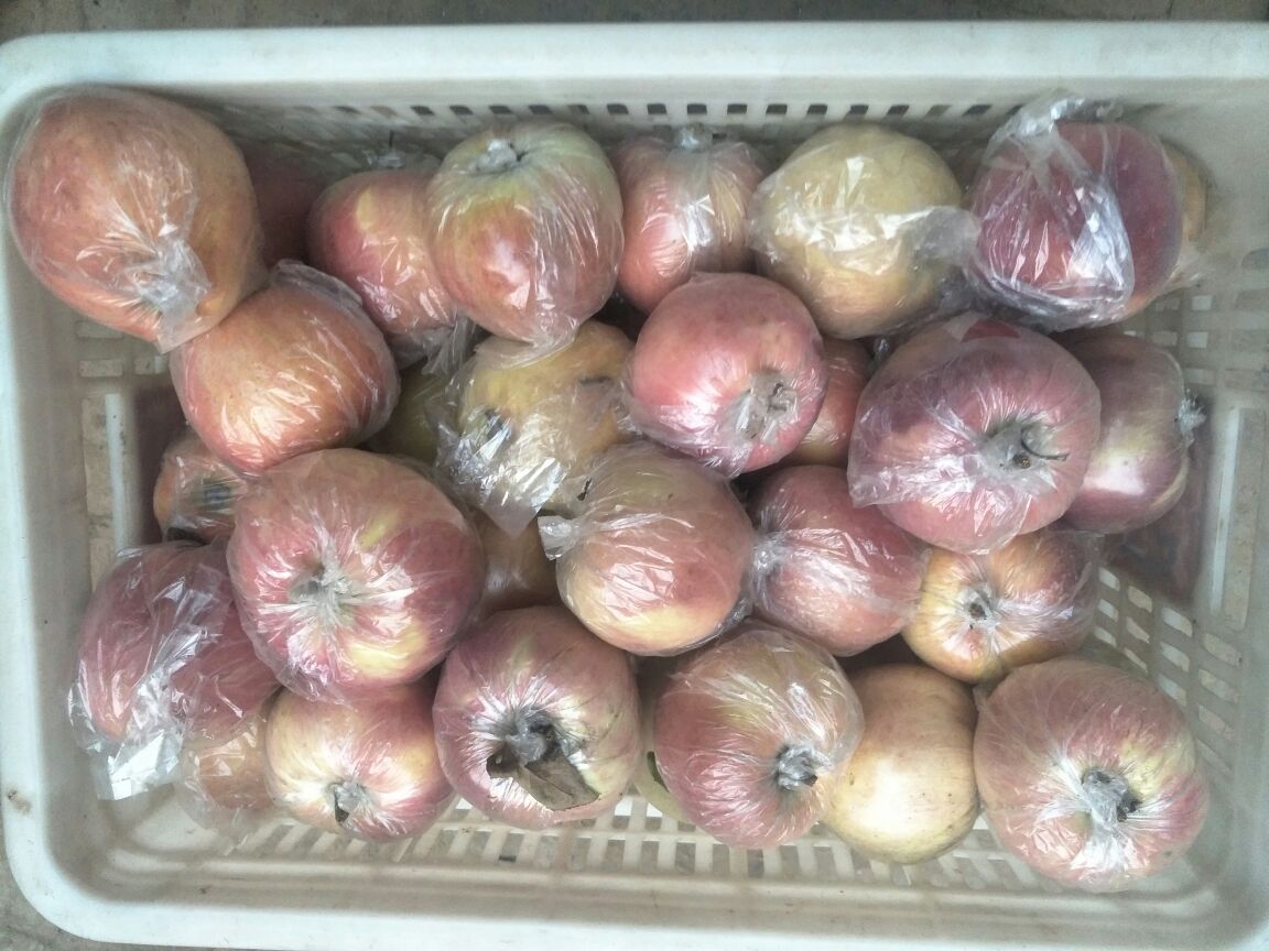 红星苹果果篮展示