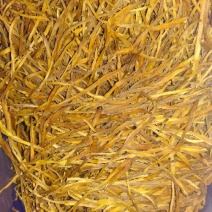 干黄菜