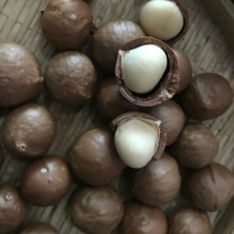 夏威夷果带壳