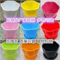 花盆优质小花盆厂家直销包邮破损包赔长期供应